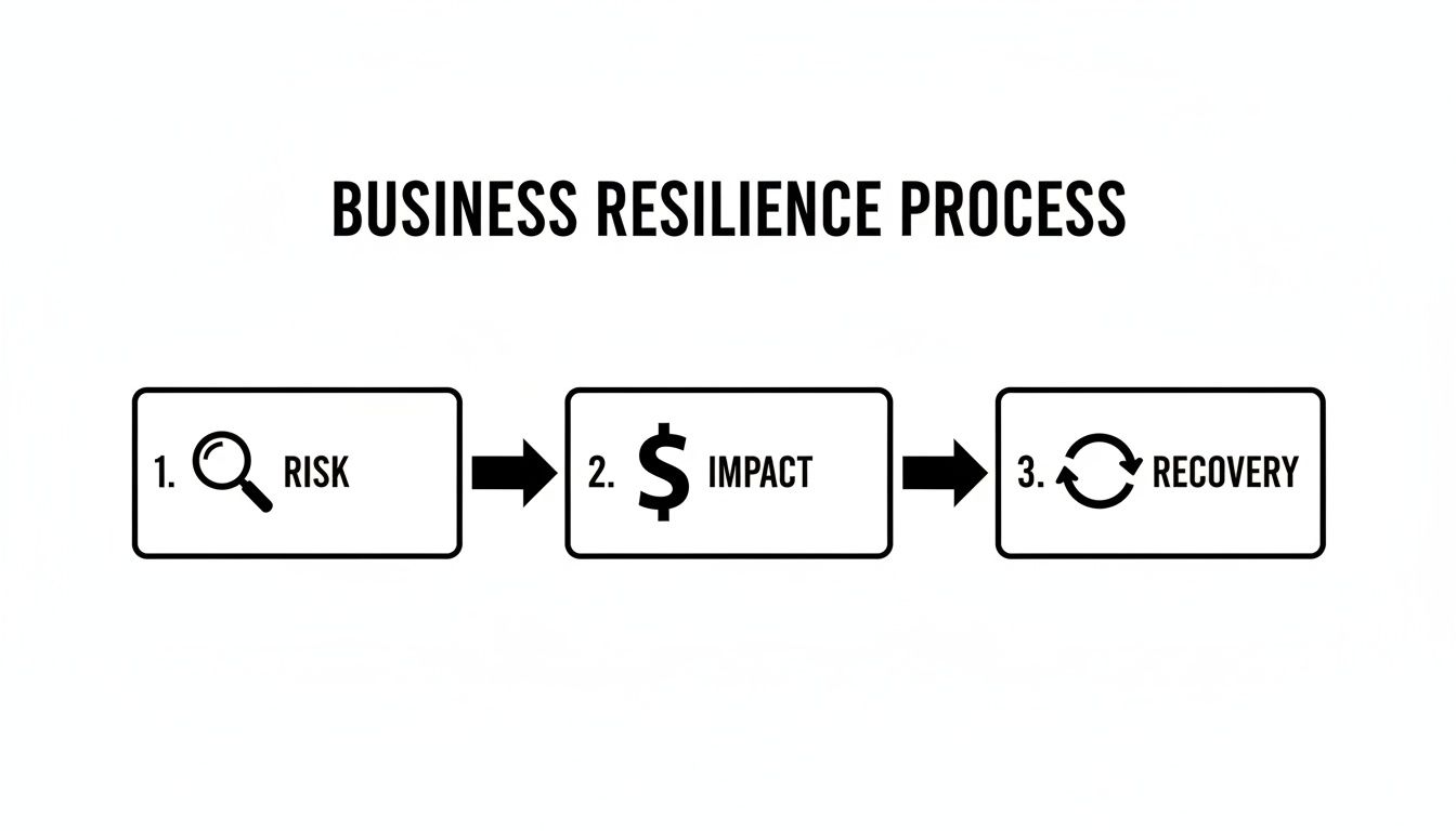 A diagram outlining the business resilience process: risk assessment, impact analysis, and recovery planning.